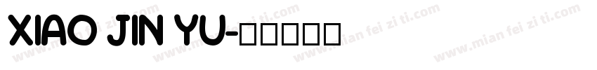 XIAO JIN YU字体转换